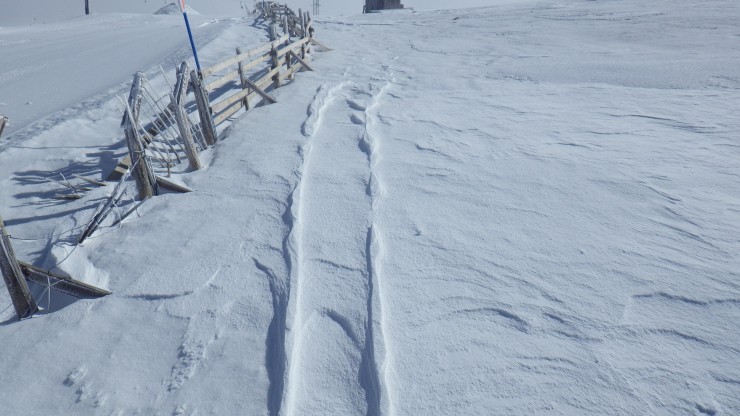 Raised ski tracks show the wind redistribution of the snowpack.