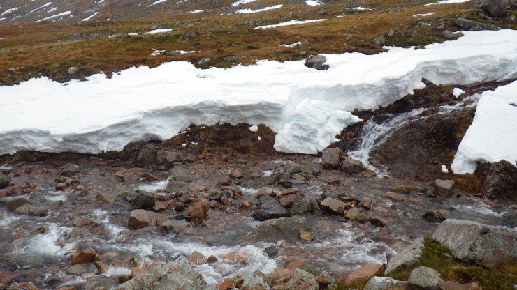 Significant snow loss in 24 hours. Yesterdays blog has a photo taken in the same place.