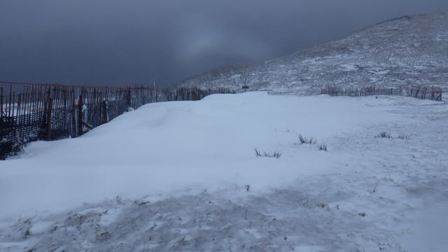 Cornices forming on a drift behind a snow fence at 650m.