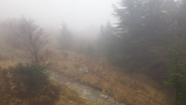 Aonach Mor 300m - visibility approx 50 meters