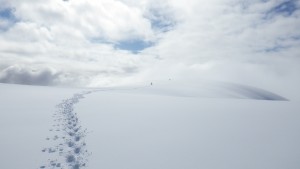 A Blanket of Snow