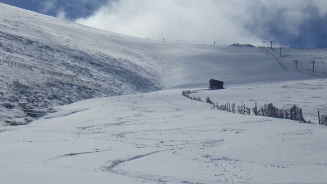 Yesterdays ski tracks.
