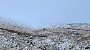 A dusting of snow