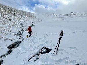 Windy and Snowy