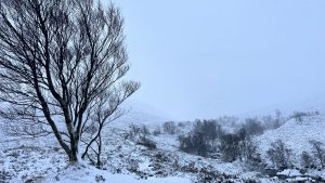 A blustery day