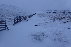 Another Murky Day on the Tops.