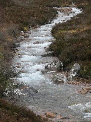 Thawing