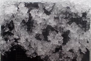 Why Wet Grains Grow.