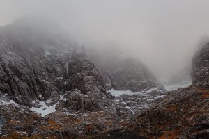 A Dank Day to End the Year