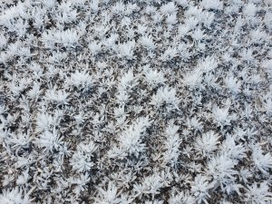 Stob Choire Claurigh