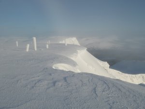 Cornices growing
