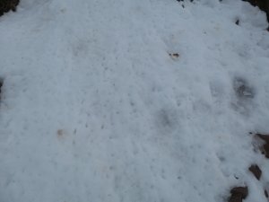 Ben Nevis tourist route