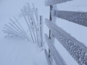 The Tops of the Gullies