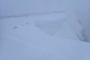 The Pest from the West