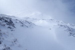 Sunshine and Showers