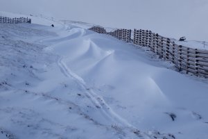 The Calm before the Storm